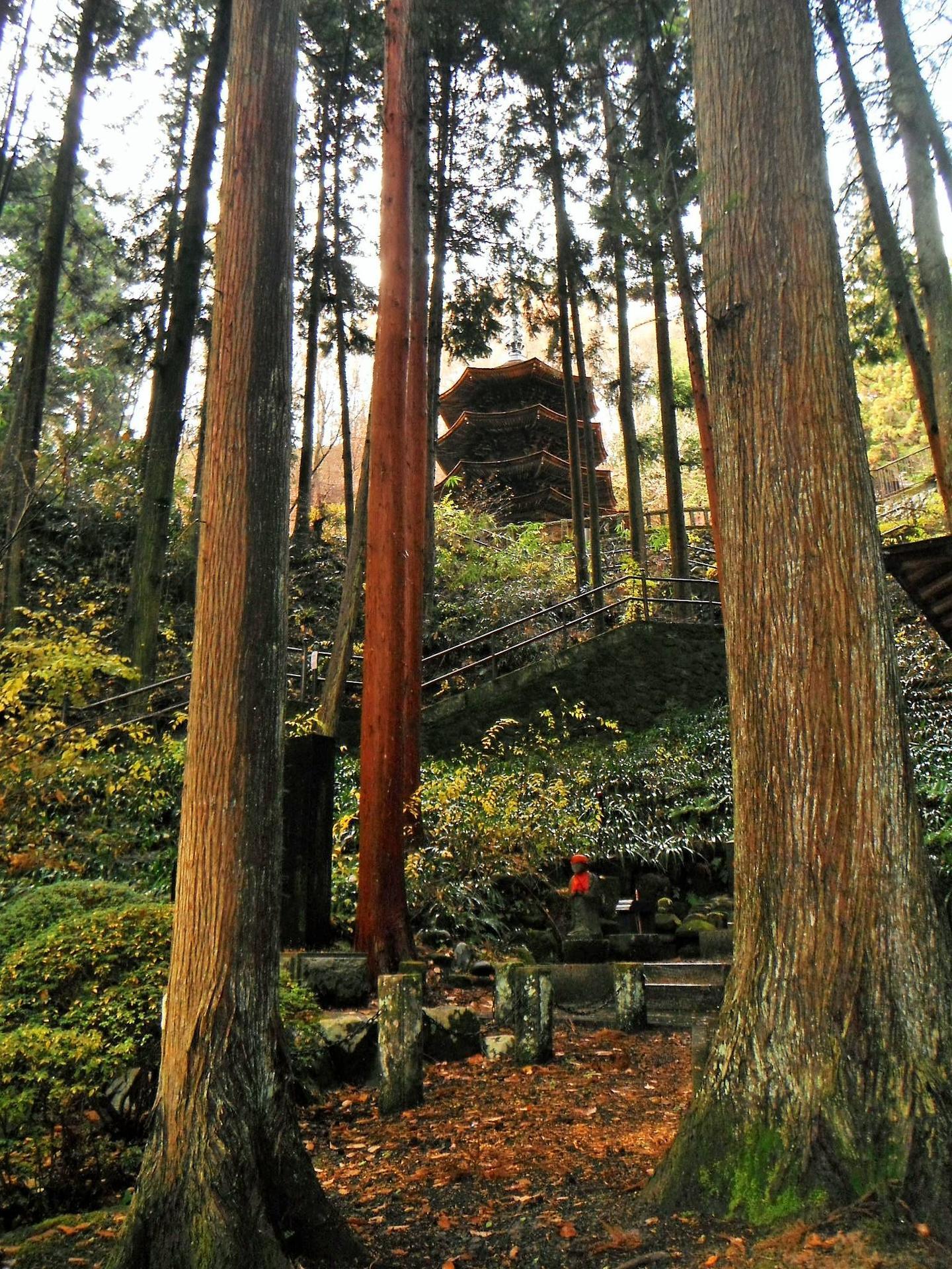 信州・独鈷山 & 夫神岳(1250m) 2014 1129(土)～30(日): 登山教室 「山旅クラブ」 トミーの山旅日誌